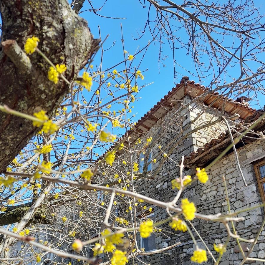 Priska e Madhe Bujtina Tusha酒店 外观 照片